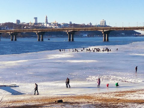 Вербовий гай