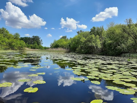 Кемпінг "Козак"