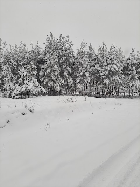 АкваТорія