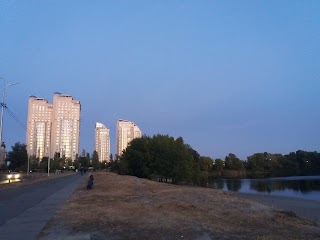 Вербний