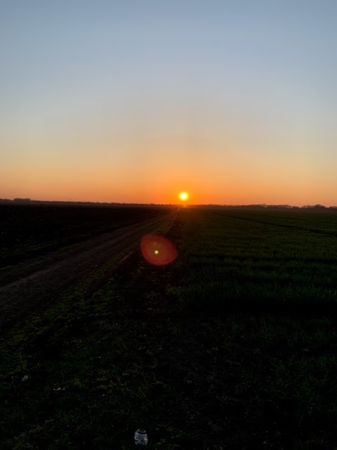 Селекційний інститут