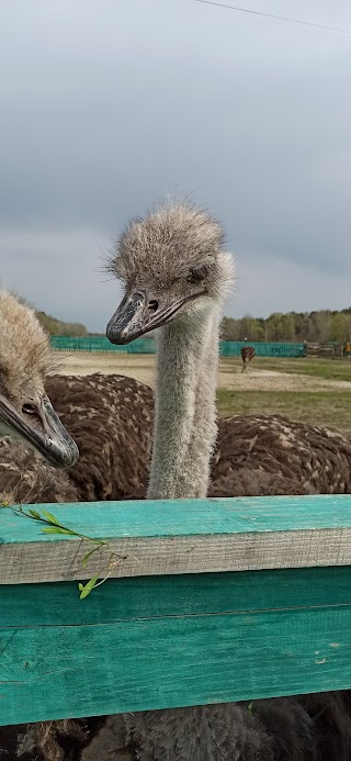 Кийлівська Асканія