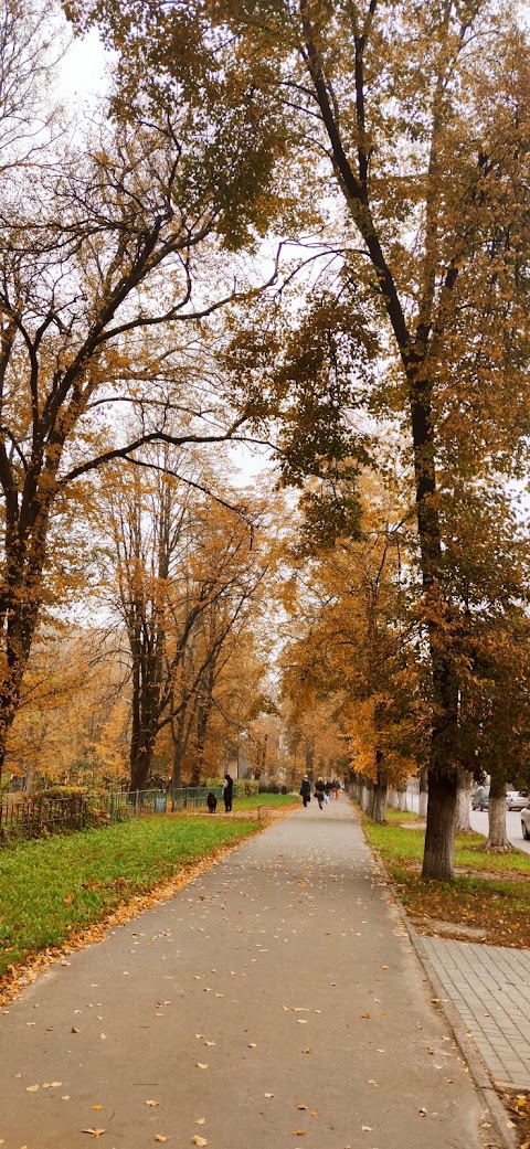 Міський парк відпочинку ім. Юрія Гагаріна