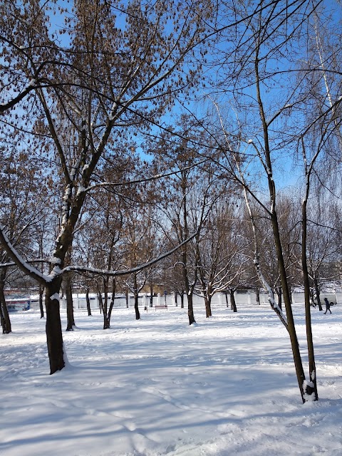 Бережанський парк