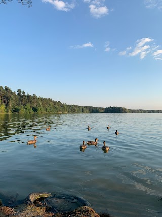 Діамантовий пляж