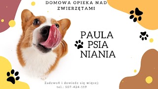 Paula Psia Niania