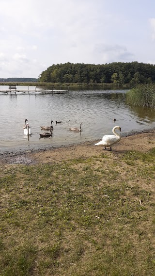 Ośrodek Wypoczynkowy Leśne Domki w Sławie