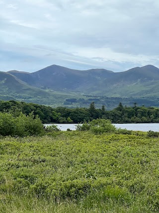 Killarney Horse and Carriage Tours