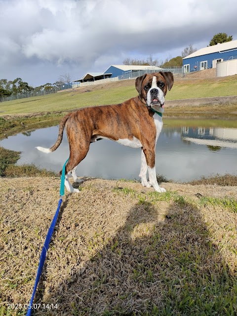 Kip Adelaide Hills Pet Resort