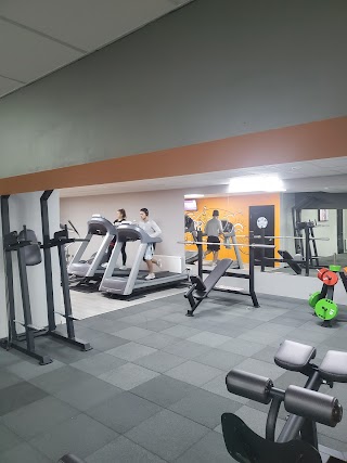 Relief Gym