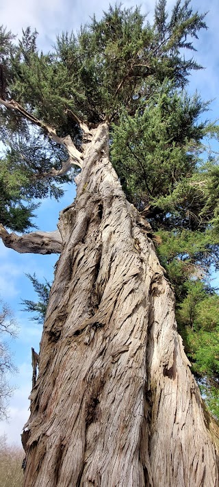 Fota House & Gardens Car Park