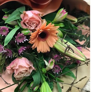 WILDbella Online Florist