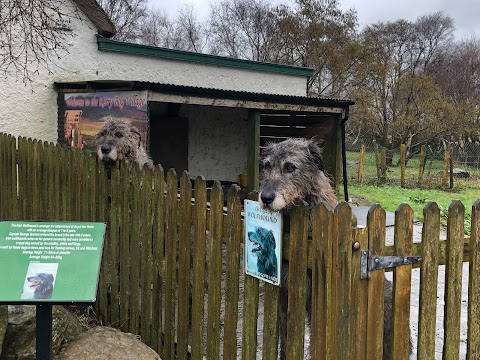 Wild Kerry Day Tours