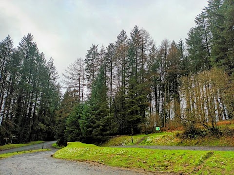 Monicknew- Slieve Bloom Mountain’s track