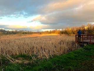 Westfields Wetlands Limerick