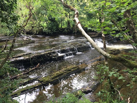 Fowley's Falls, Rossinver, Leitrim