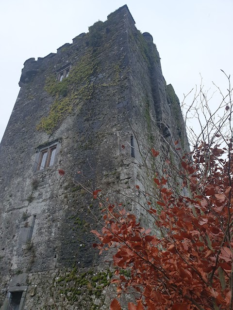 Ballybur Castle & Coach-House