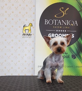 Pet Perfect - Grooming Salon - Salon Pielęgnacji Psów