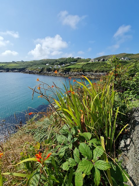 Cape Clear Ferries & Fastnet Rock Lighthouse Tours