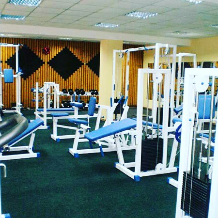 Fitness Club Dominant Business