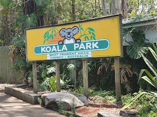 Koala Park Sanctuary Sydney