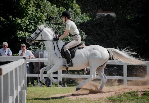 Diamonds Equine Renvyle - The Connemara Pony National Stud