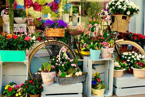 Blooms Florist