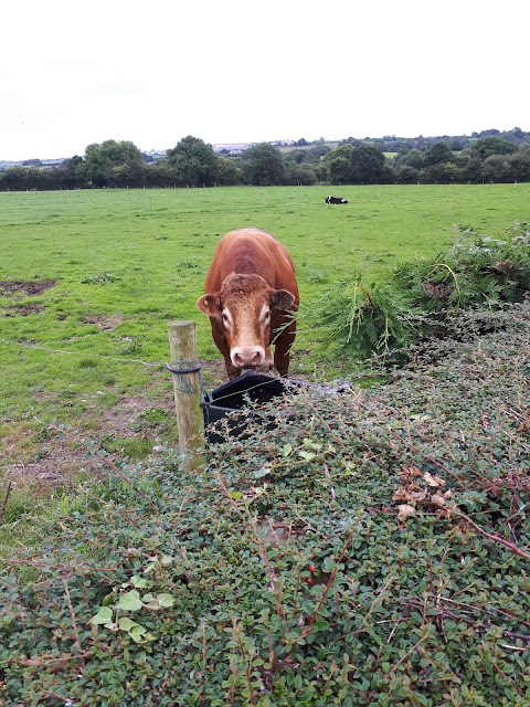 Coolmore Farmhouse