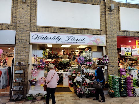 Waterlily Florist