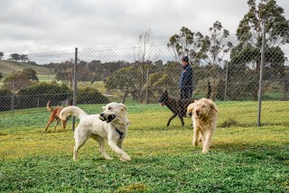 Kip Adelaide Hills Pet Resort