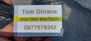 Aran Mini Bus Tours