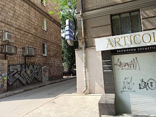 Articole Studio