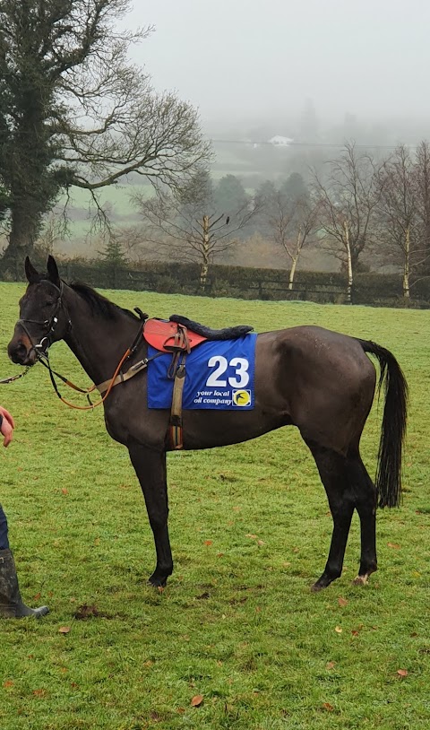 Boulta Schooling Gallops