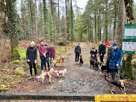 Muddy Paws Dog Training