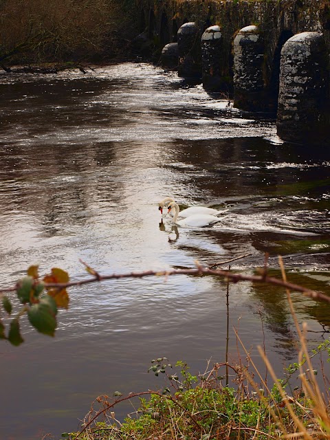 Bridge river