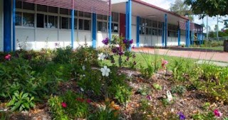 Gaven State School