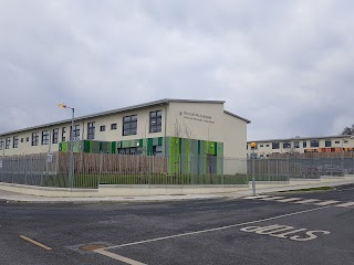 Bunscoil Rís Edmund Rice Senior School