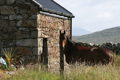 Trident Holiday Homes - An Caorán Carna