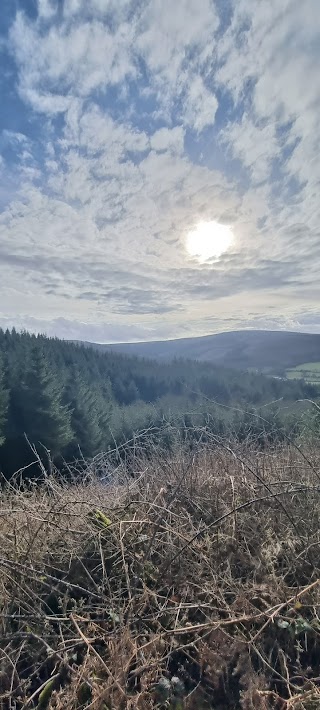 Kinnitty Looped Walks Trailhead