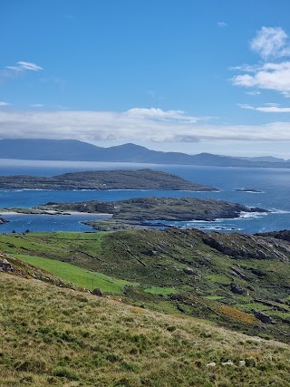 Killarney Executive Tour Co. & Big Red Bus