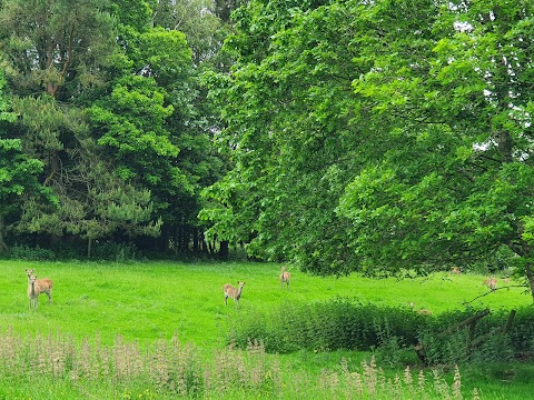 Doneraile Wildlife Park