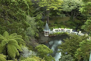 Wellington Botanic Garden