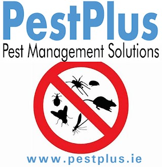 PestPlus-Pest Control Sligo