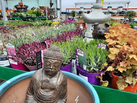 Moore Nurseries & Garden Centre