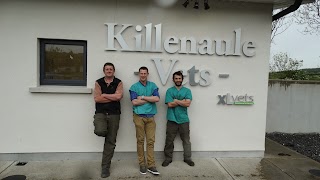 Killenaule Vets