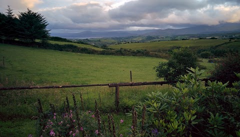 Bantry Pony Trekking