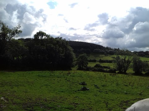 Ballyhoura Horsetrails