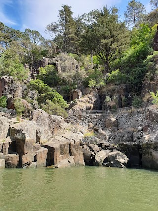 Tamar River Cruises