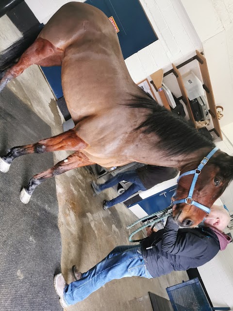 Kenmare Veterinary Centre