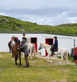 The Point Pony Trekking & Horse Riding Centre